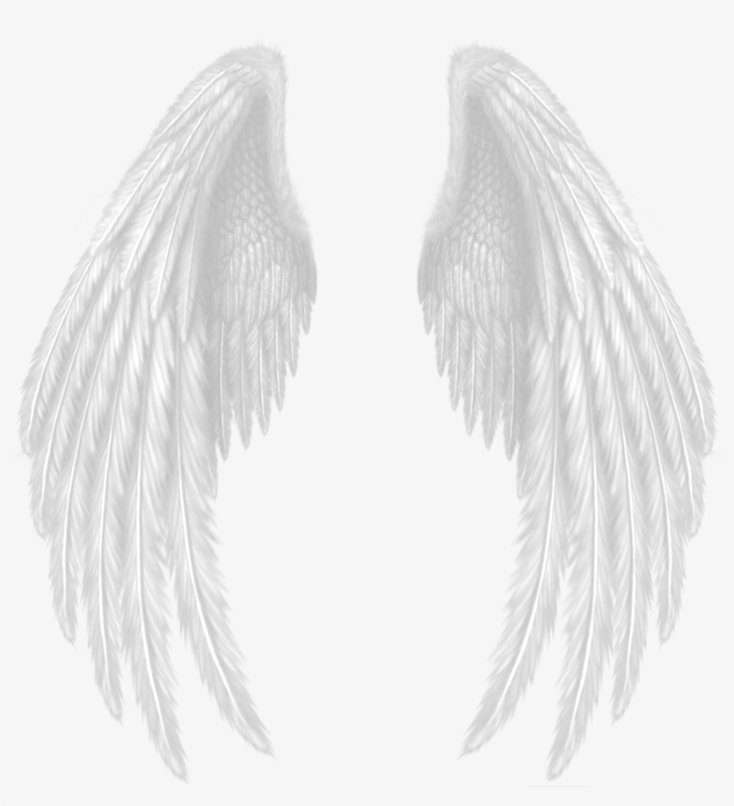 Imagem De Asas Para Picsart, transparent png