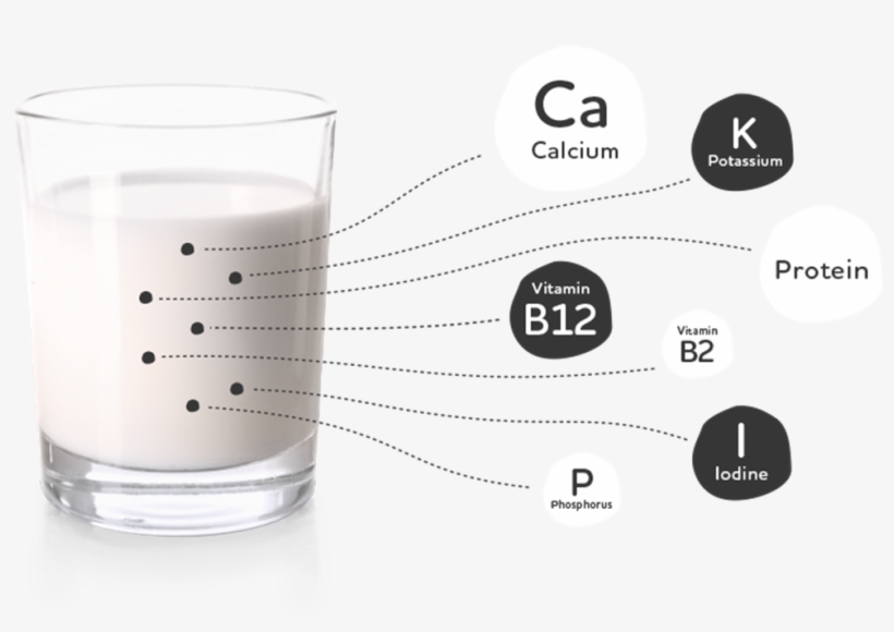 Với Hàm Lượng Dinh Dưỡng Dồi Dào, Sữa Bò Tươi Đóng - Diet Soda, transparent png