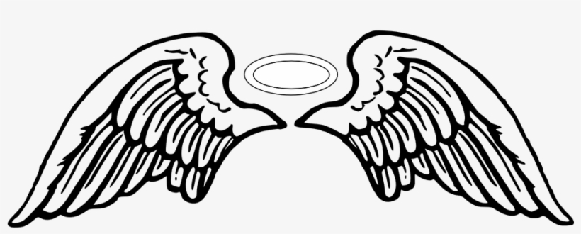 960 X 480 24 - Angel Wings Vector Png, transparent png