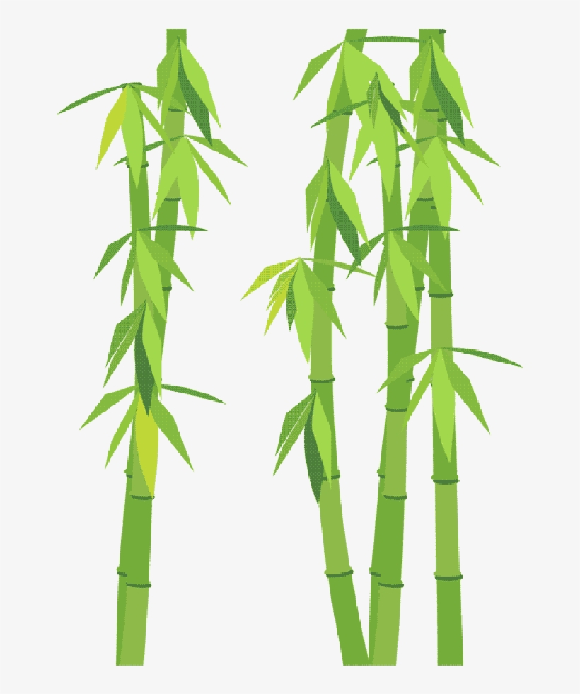 Go To Image - Bamboo, transparent png