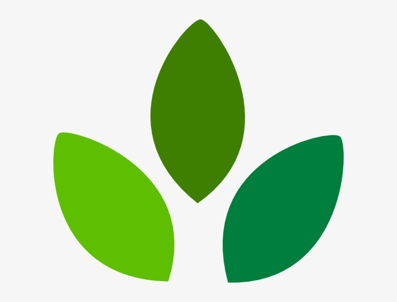 This Free Clip Arts Design Of Leaf Png, transparent png