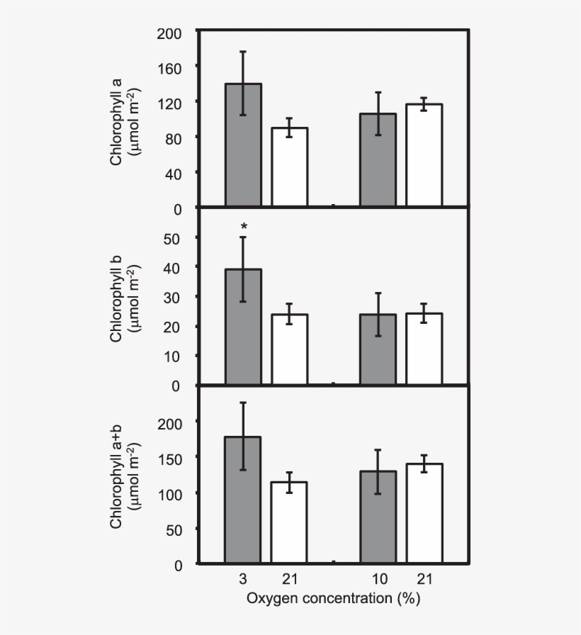 Nitrogen And Carbon Content Of Red Leaf Lettuce Grown - Diagram, transparent png