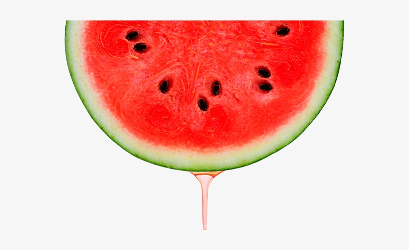 Enjoy Life & Enjoy Sensory Experiences - Watermelon, transparent png