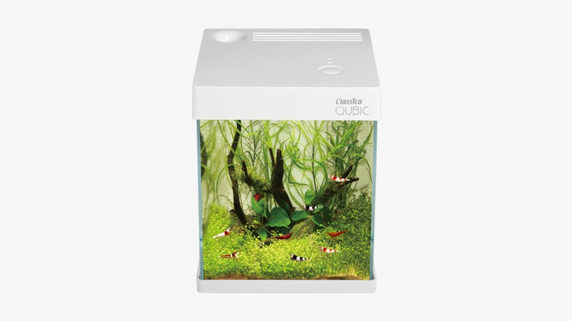 Aquarium, transparent png