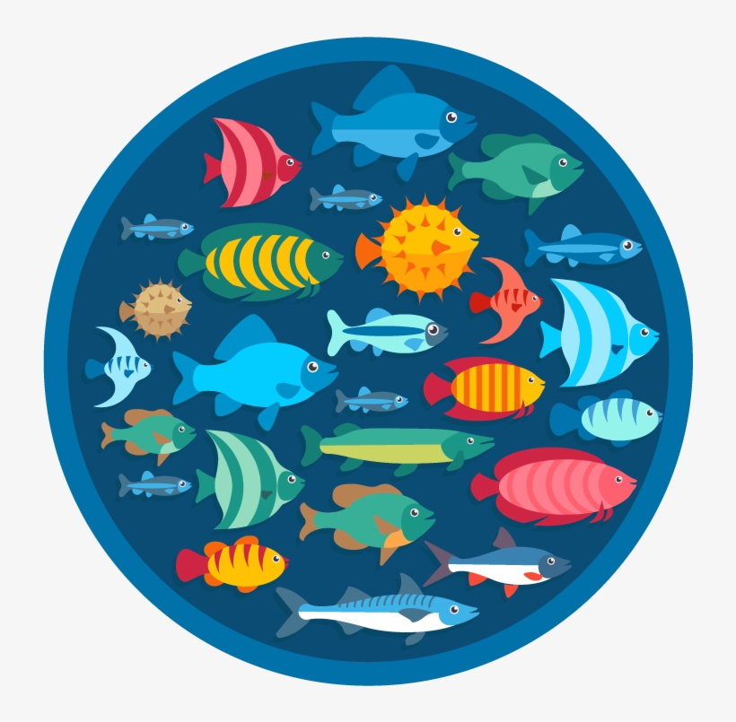 Who Wants A Gunky Fish Tank - Circle, transparent png