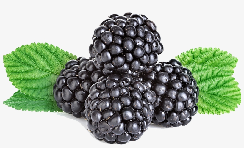 Blackberries - Boysenberry, transparent png