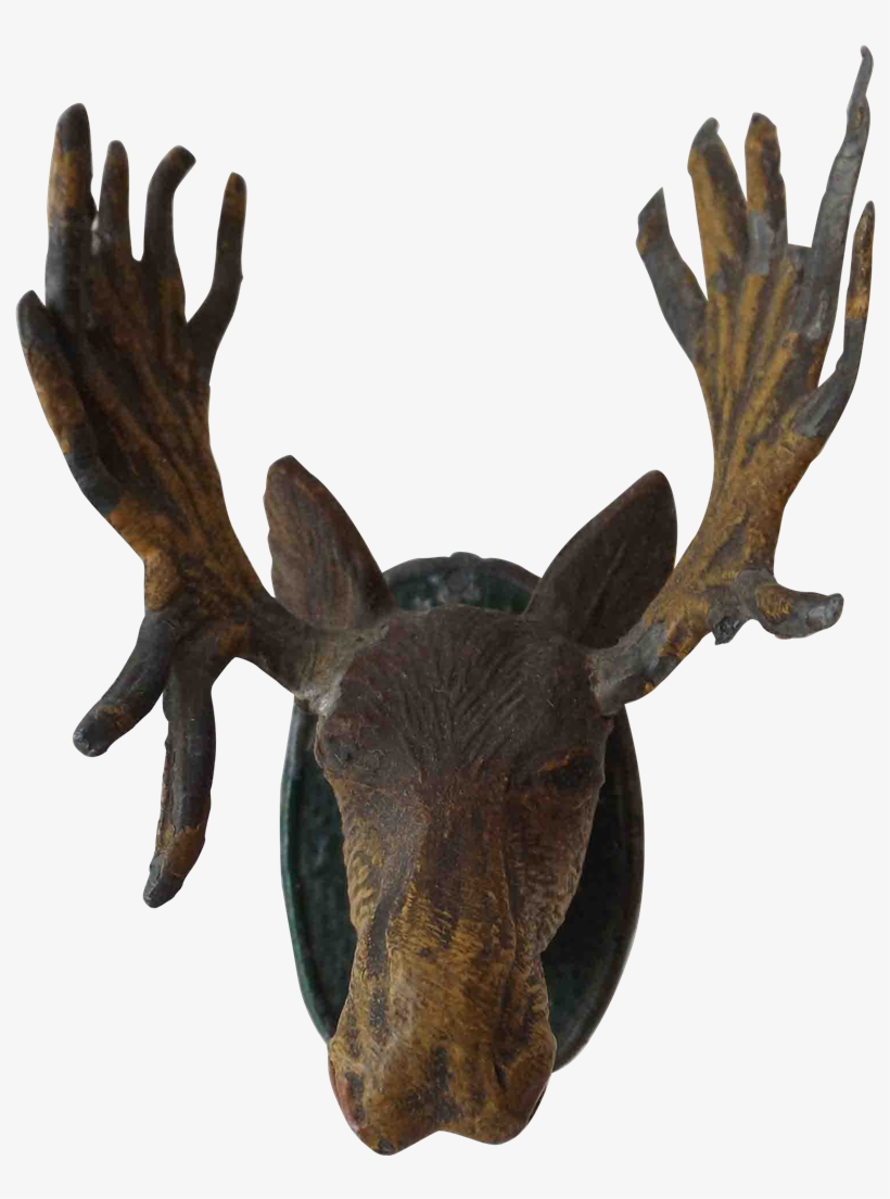 Moose Head Png - Reindeer, transparent png
