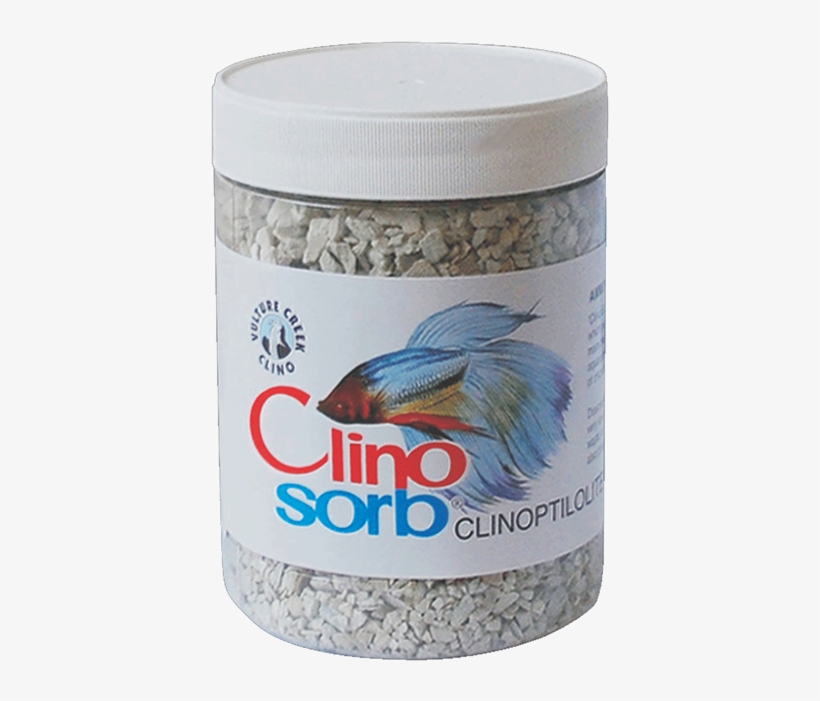 Feeder Fish, transparent png