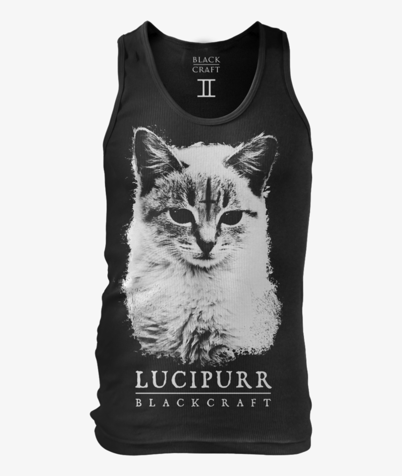 Image Of Lucipurr - Black Craft Cult Cat, transparent png