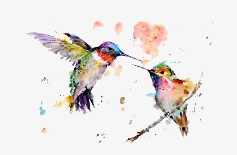 Watercolor Art Painting Drawing Hummingbird Free Transparent - Kolibri Aquarell, transparent png