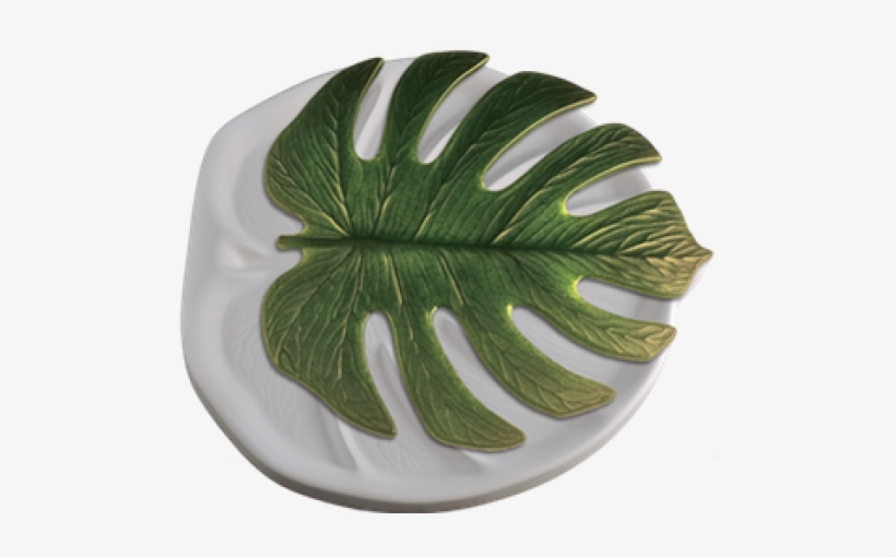 Ceramic Monstera Leaf Plate, transparent png