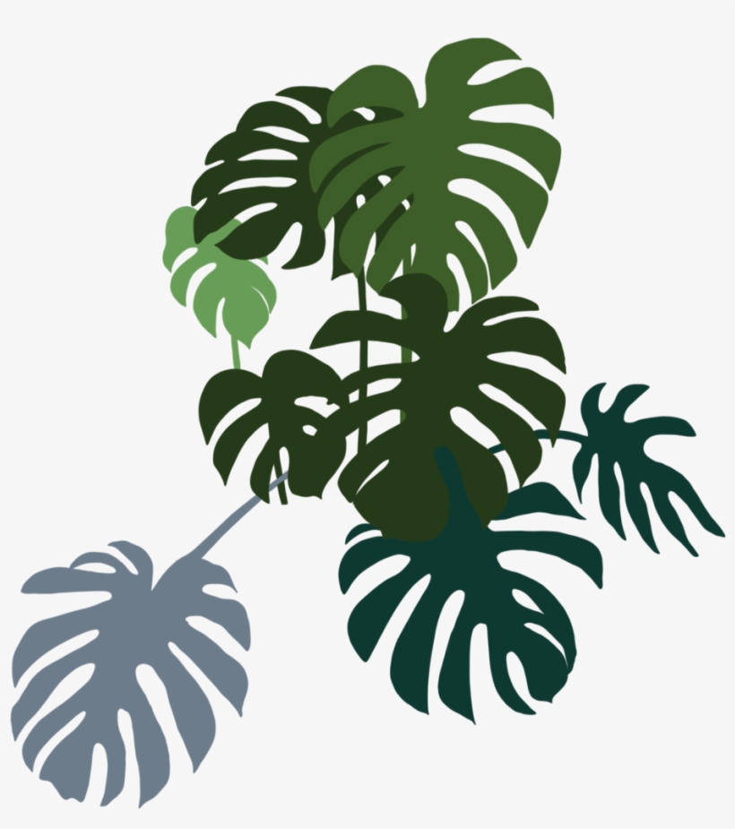 Monstera Bunch Left - Decoração Minimalista Com Plantas, transparent png