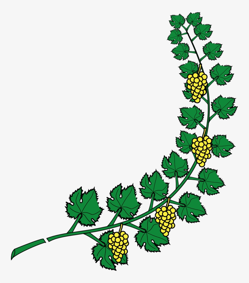 747 X 852 6 - Grape Vine Coat Of Arms, transparent png