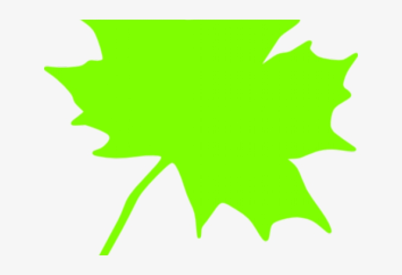 Green Leaves Clipart Cartoon - Parcc, transparent png