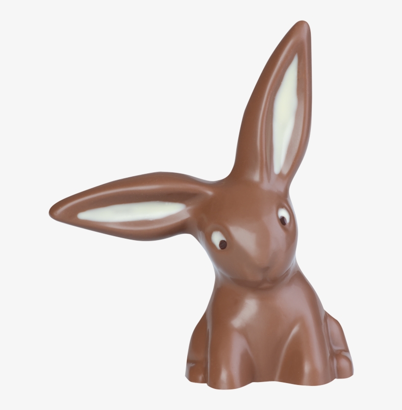 Rabbit With Hanging Ears - Domestic Rabbit, transparent png