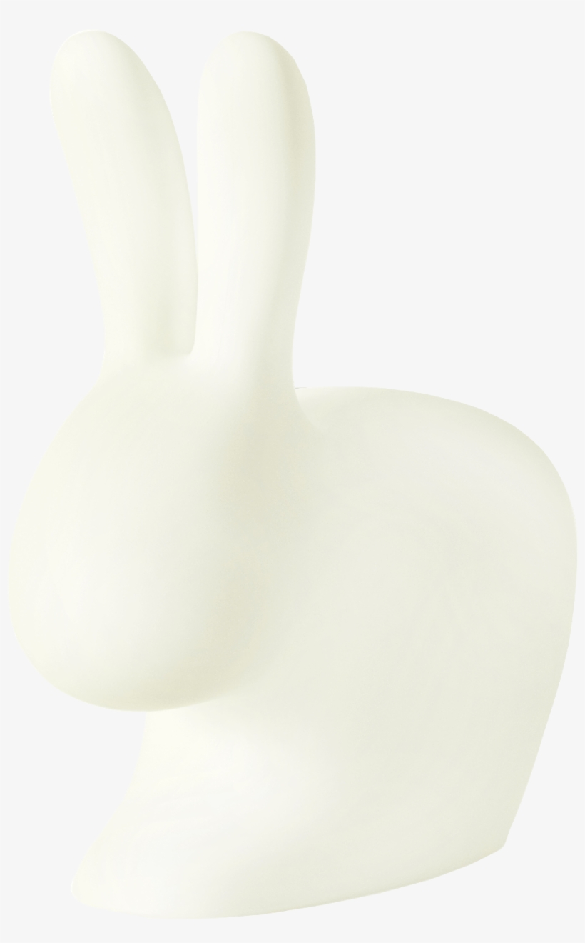 Domestic Rabbit, transparent png