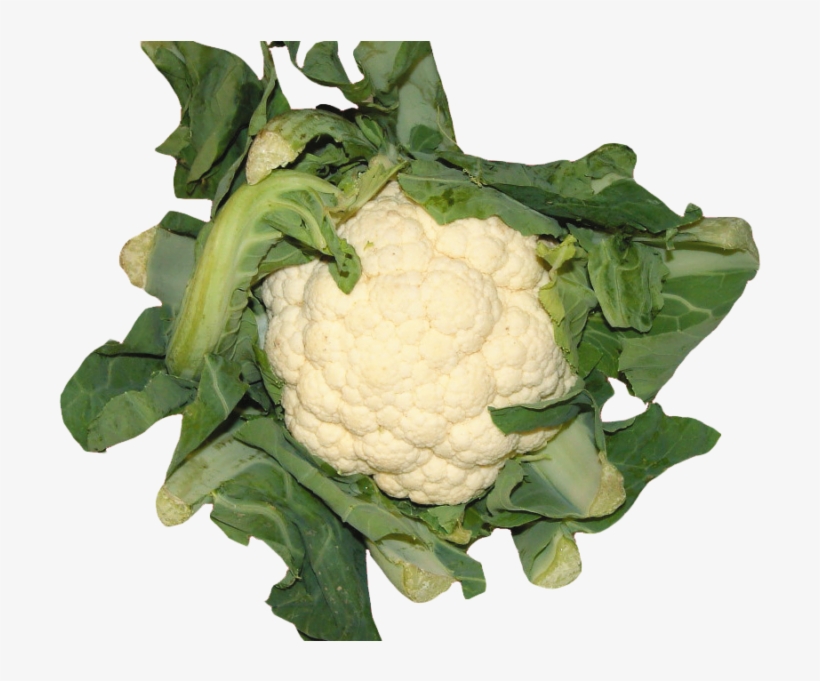 Cauliflower Png Image - Cauliflower, transparent png