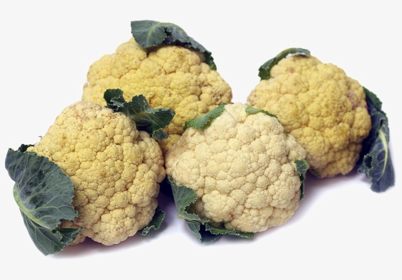 Cauliflower Png Image Free Download - Cauliflower, transparent png