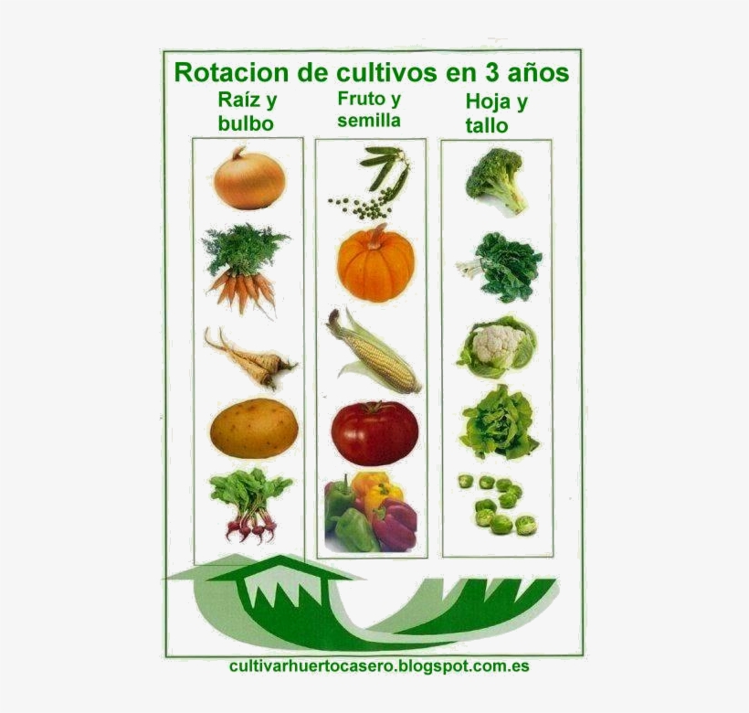 Set Up Separate Sections For All Three Crop Types And - Crop Rotation Diagram, transparent png