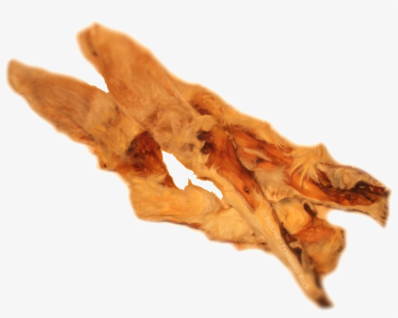 White Walnut, transparent png