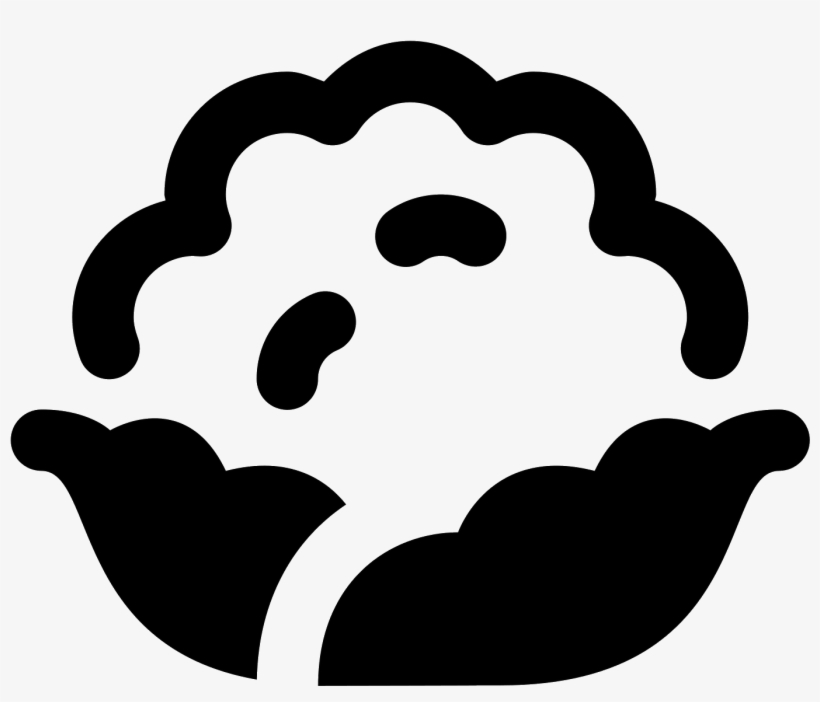 Cauliflower Icon, transparent png