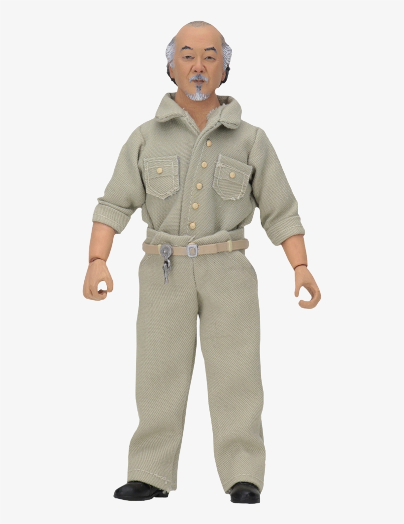 The Karate Kid - Neca Karate Kid Figures, transparent png
