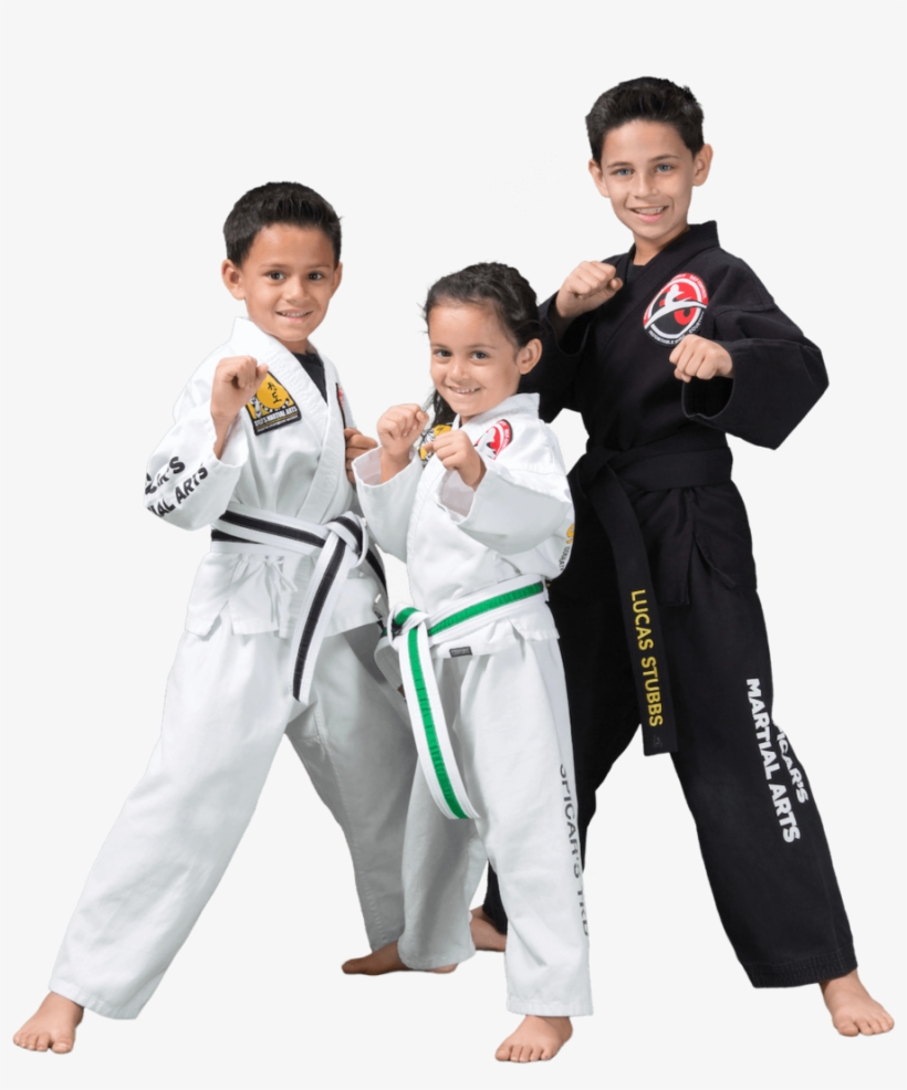 Spicars Martial Arts Kids Program Southlake Texas - Wushu Indian Kids, transparent png