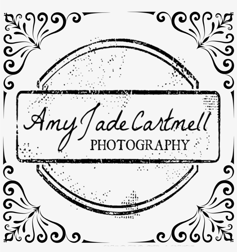 Ajc Logo - Squat Substitutes, transparent png