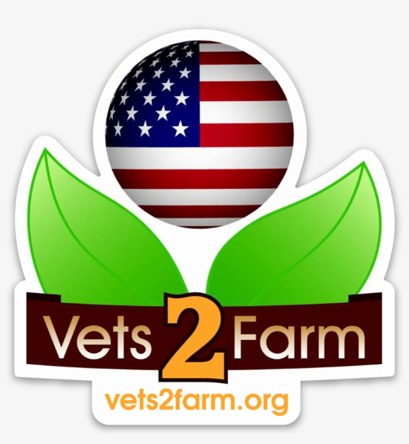 "what You Spend Years Building May Be Destroyed Overnight - Usa Ball, transparent png