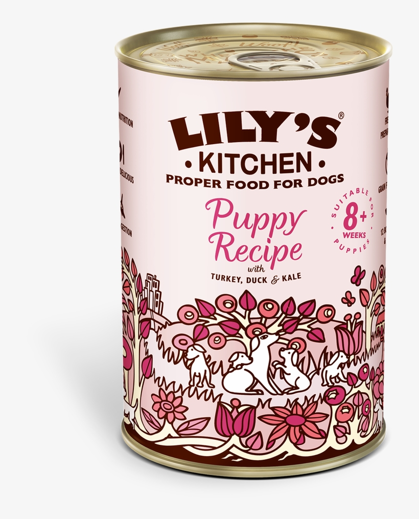Lily's Kitchen Recovery Recipe, transparent png