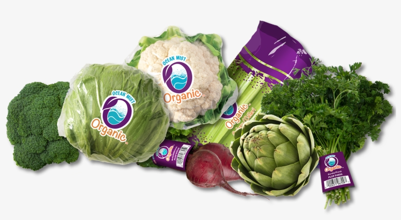 Based Ocean Mist Farms Plans To Show Off Its Season - Artichoke, transparent png