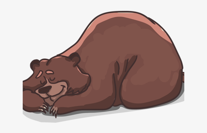 Brown Bear Sleeping Clipart, transparent png