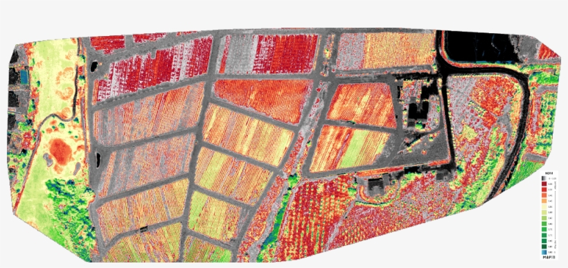 Red Nir Light Survey2 (jpg) Ndvi Gradient Applied Using - Motif, transparent png