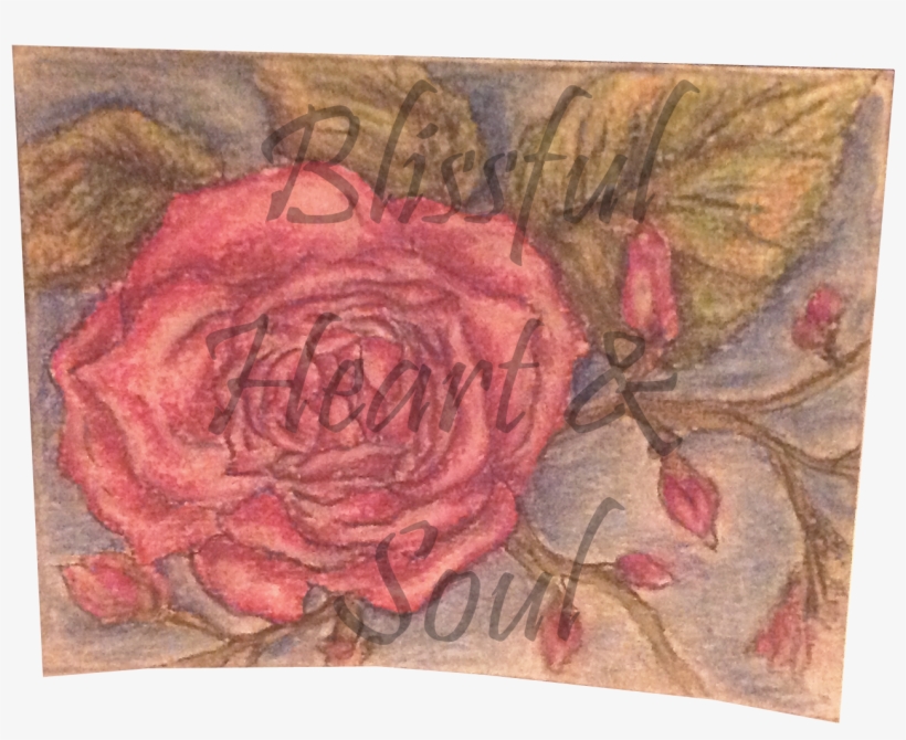 Rose Card - Hybrid Tea Rose, transparent png