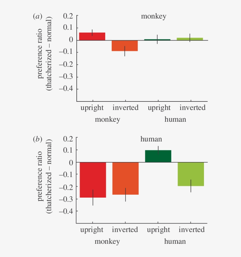 Preference For The Face Picture Above The Blank - Diagram, transparent png