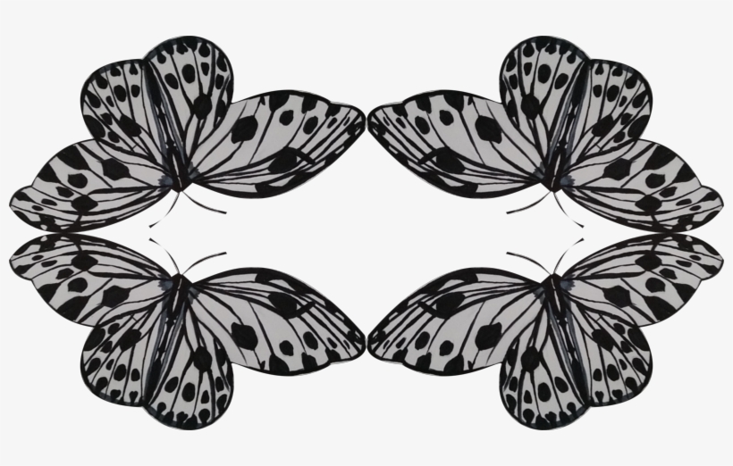 Brush-footed Butterfly, transparent png