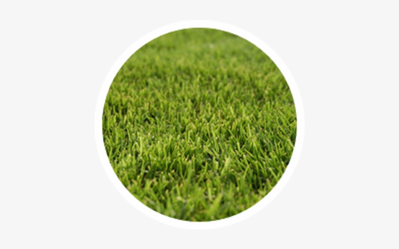 Common Grass Pollens - Circle, transparent png