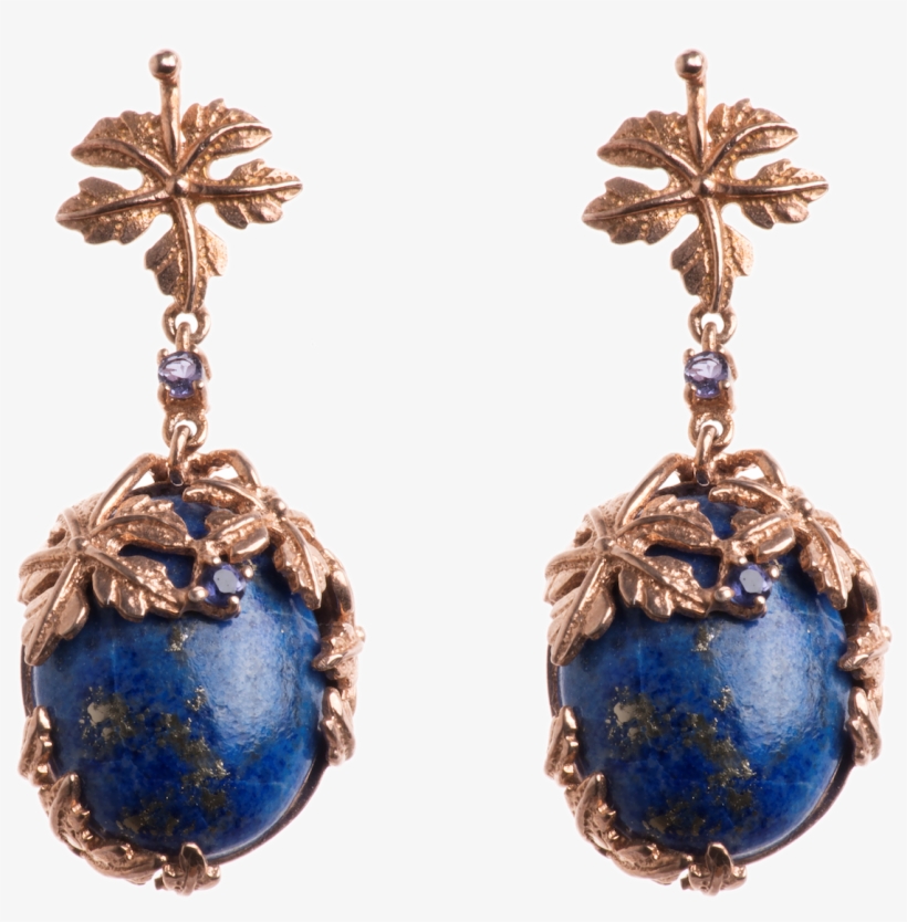 Earrings, transparent png