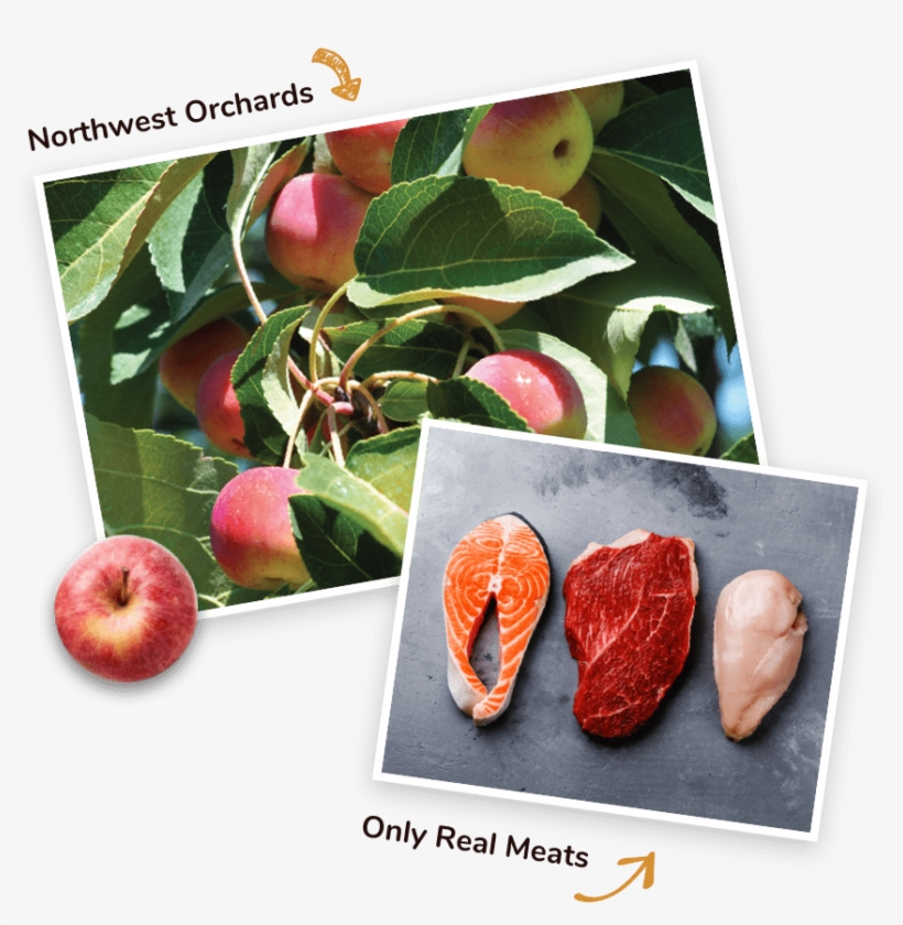 Real Meats And Fruits - Apple, transparent png