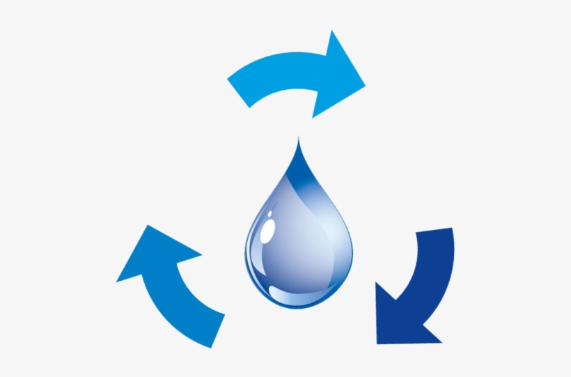 Business, transparent png
