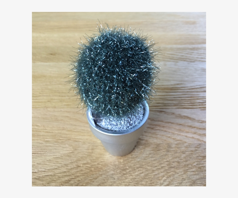Transparent Succulents Tumblr Online Cactus - Hedgehog Cactus, transparent png
