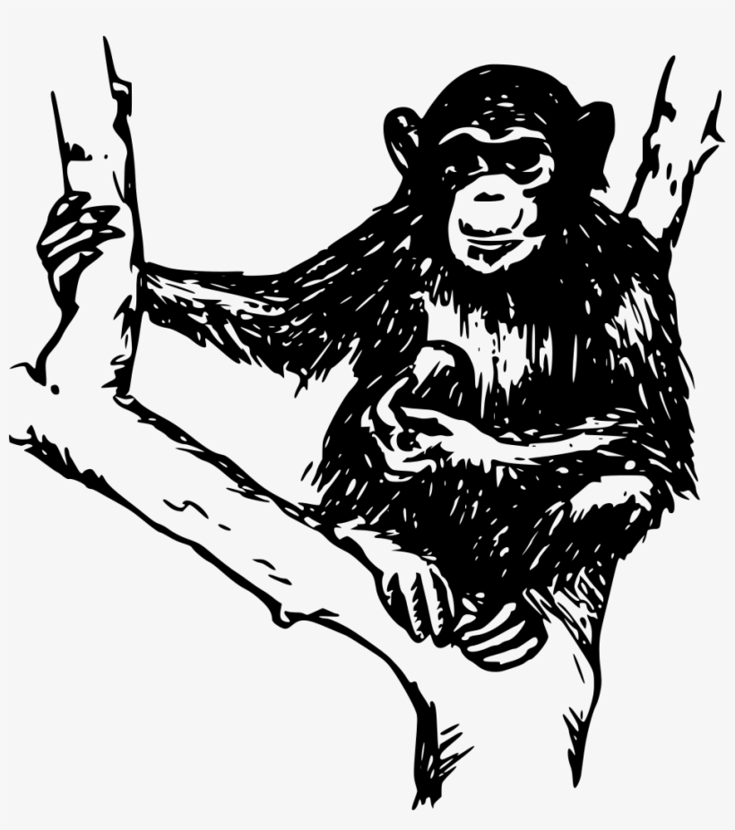 Download Png - Chimpanzee Black And White, transparent png