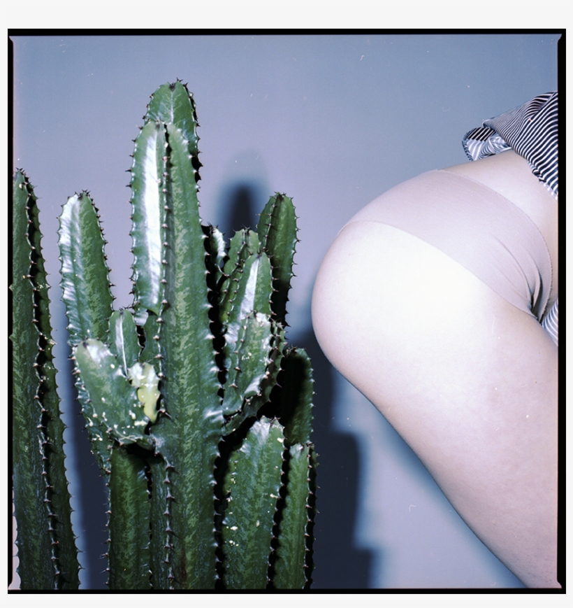 You Can View More Uhmet's Work By Heading Here - San Pedro Cactus, transparent png