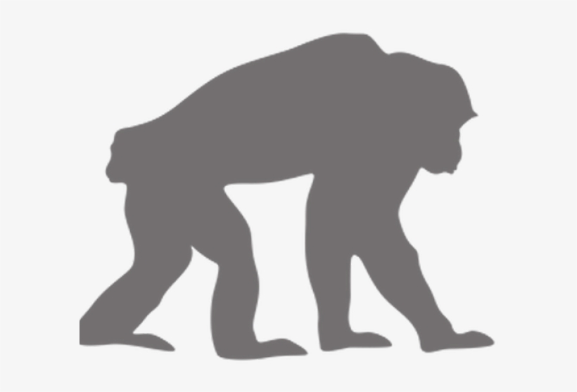 Chimpanzee Clipart Transparent - Chimpanzee Silhouette No Background, transparent png