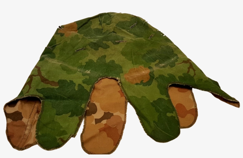 Genuine Issue U - Maidenhair Tree, transparent png