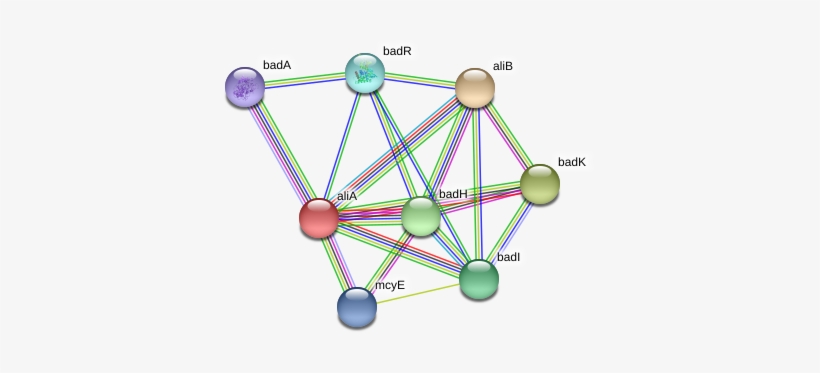 Alia Protein - Circle, transparent png