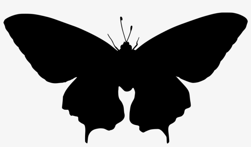 Download Png - Copper Finish Metal, transparent png