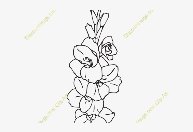 Gladiolus Clipart Cartoon - Line Art, transparent png