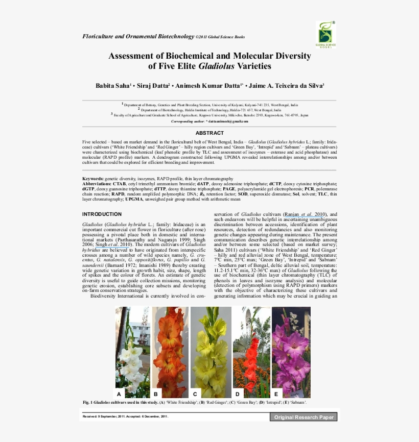Pdf - Orchid, transparent png