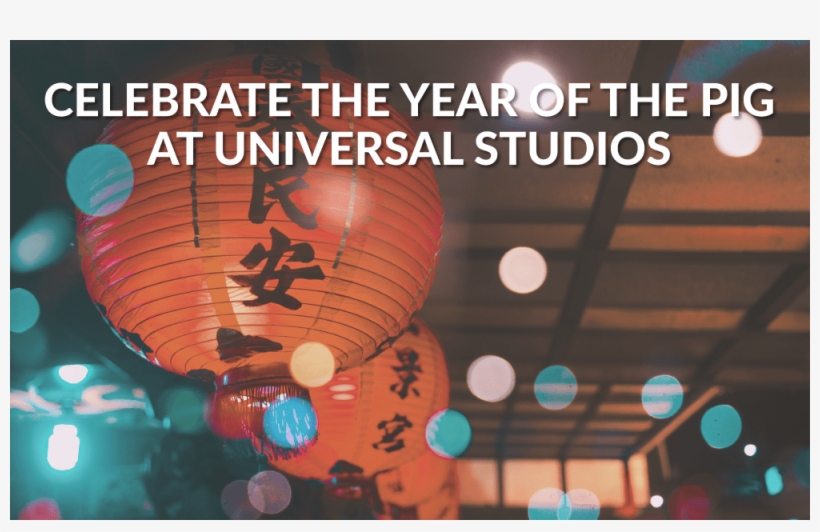 31 Jan Celebrate The Year Of The Pig At Universal Studios - Chinese Year Of The Pig 2019 Lantern, transparent png